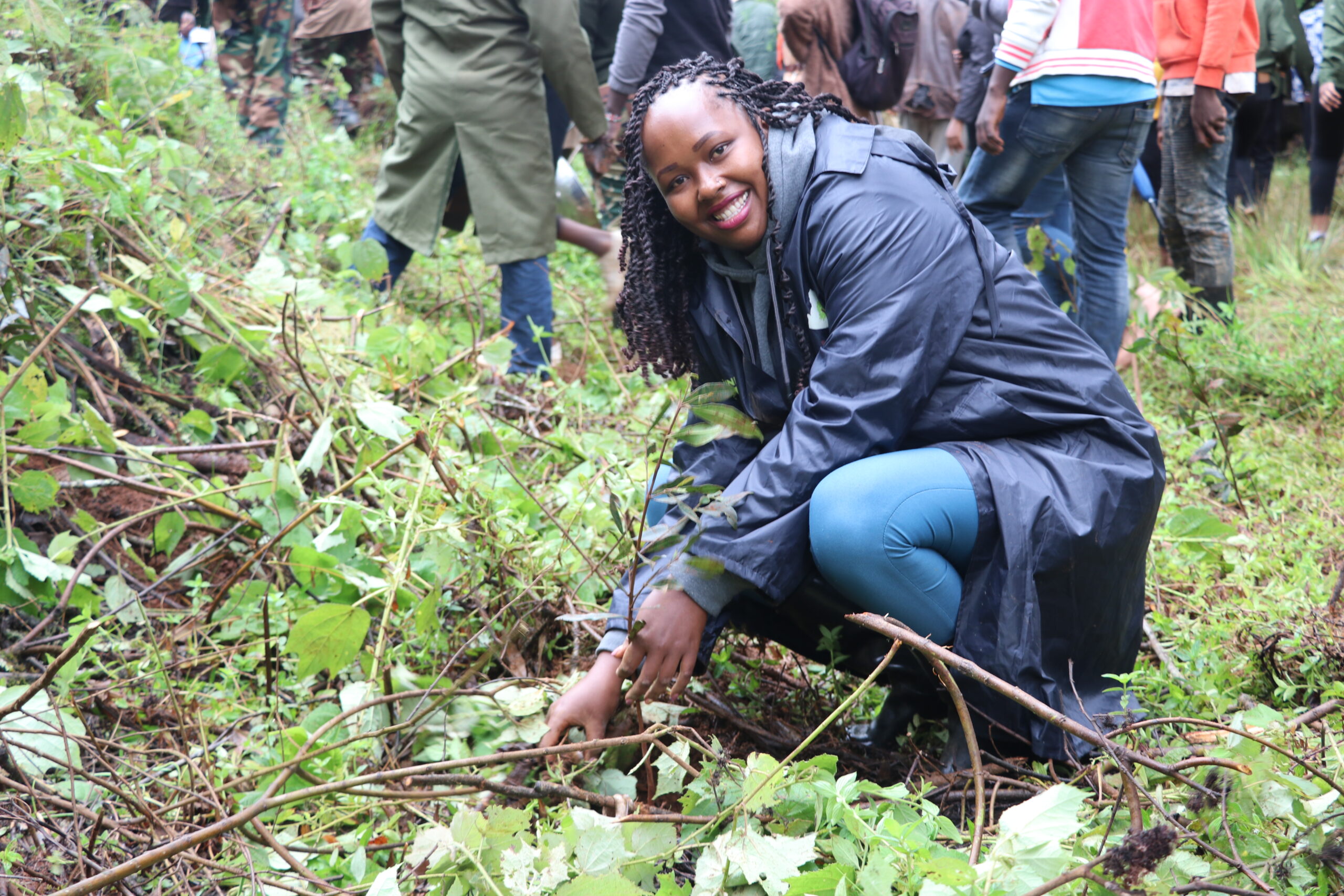 tree planting